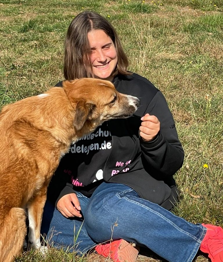 Hund mit Maulkorb steht auf Gras, schaut direkt in die Kamera.