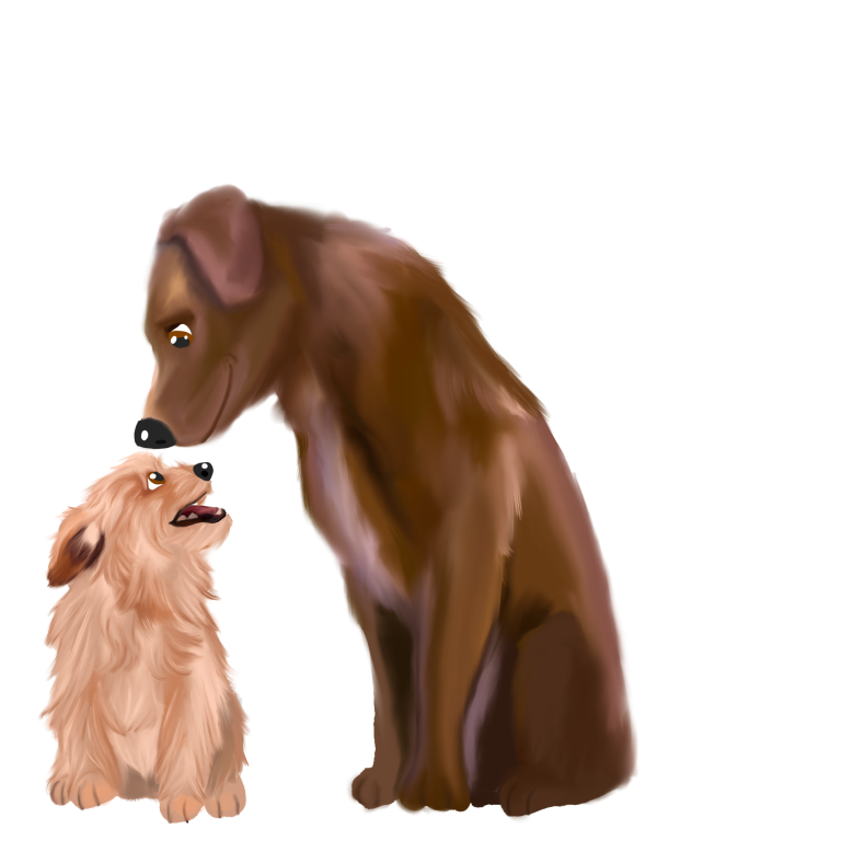 Schwarzer Hund mit Maulkorb auf einem Weg, neugierig in die Kamera schauend. 