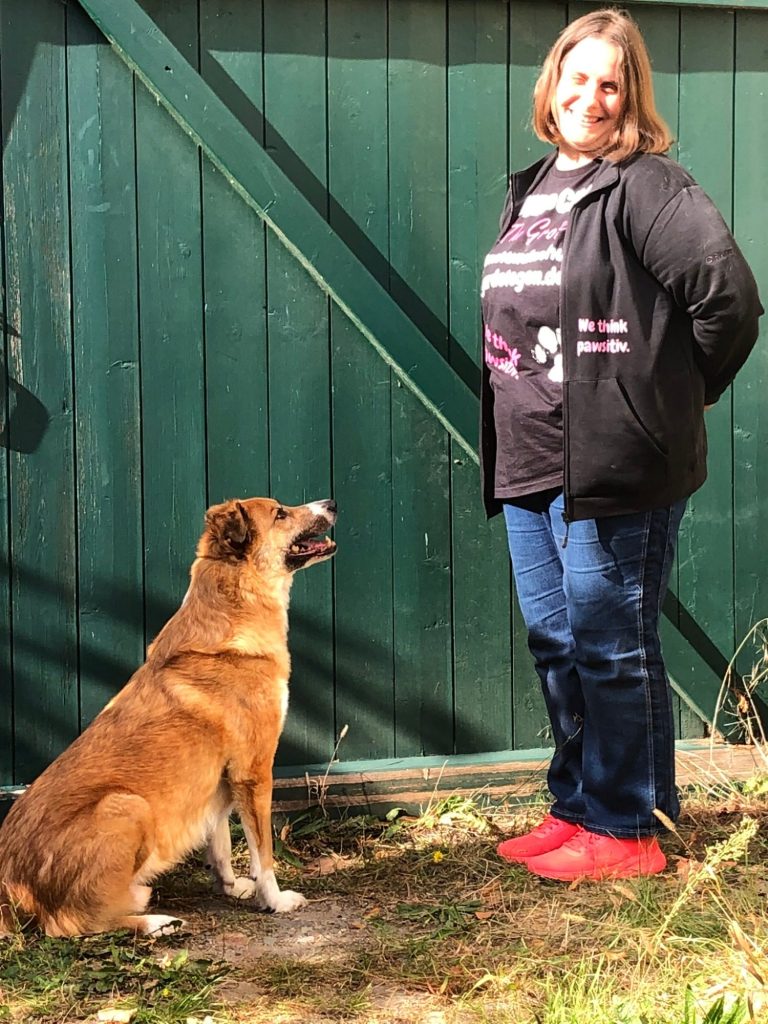Hund mit Maulkorb steht auf Gras, schaut direkt in die Kamera.