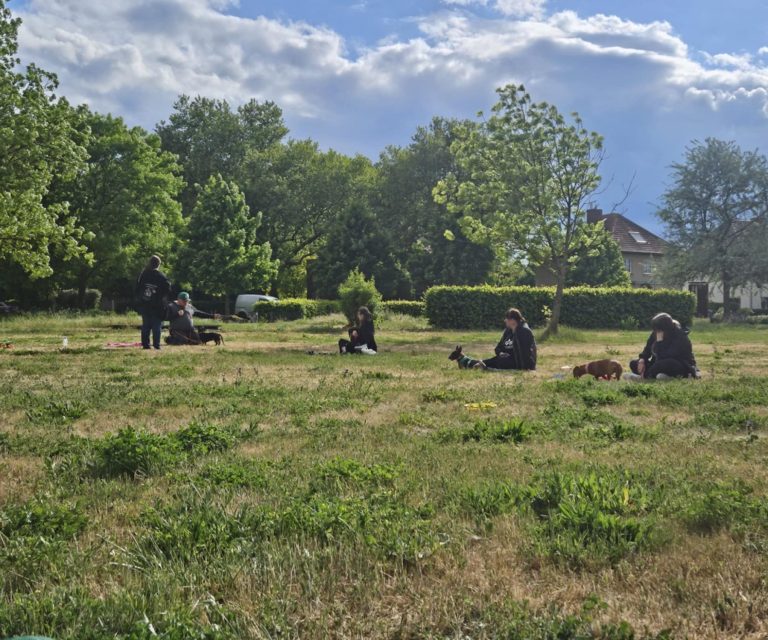 Mehrere Personen sitzen im Gras eines Parks mit Hunden in einer grünen Landschaft.